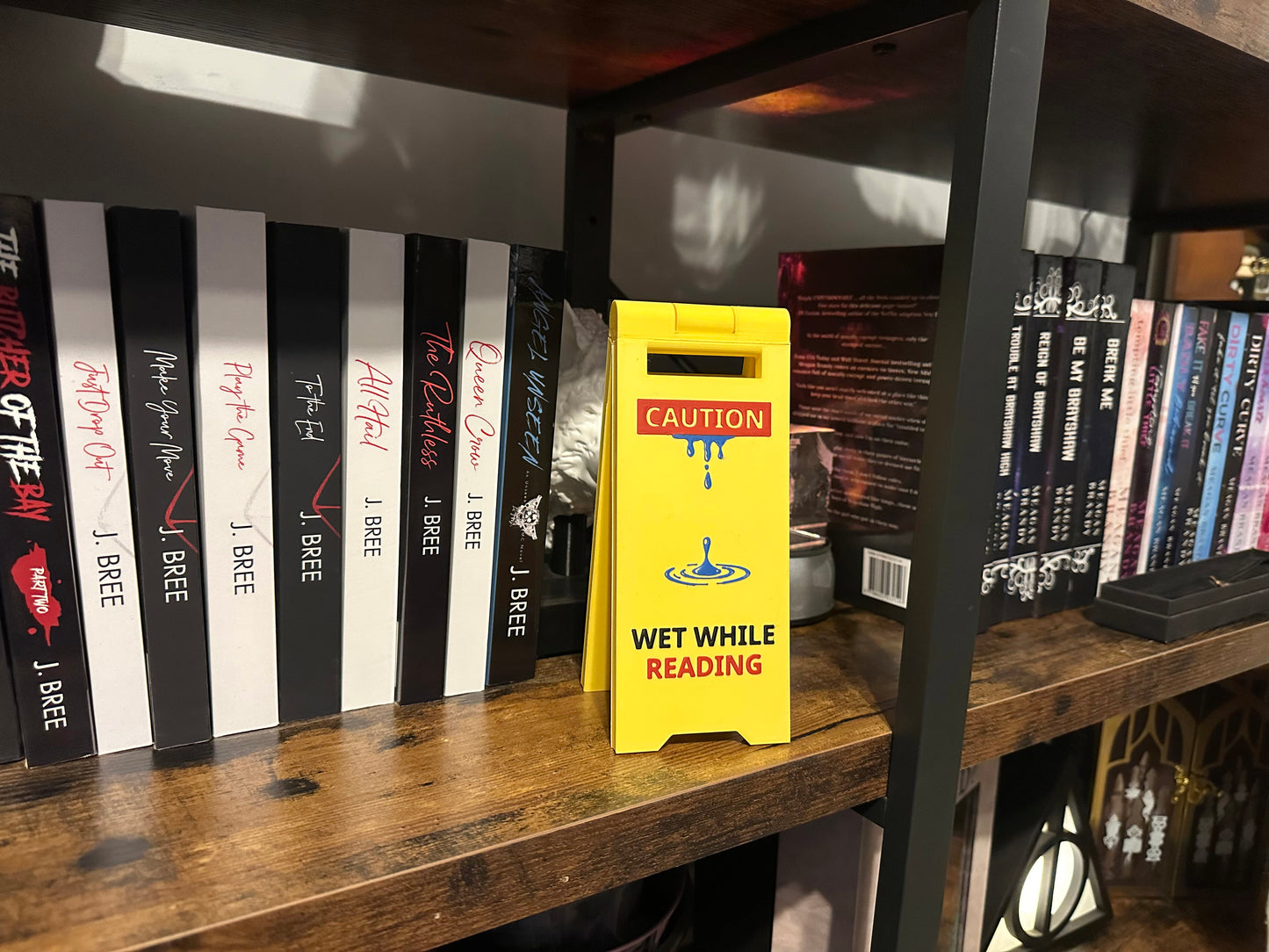 Wet While Reading Smutty Book Decor Sign Smut Sign Bookshelf Decor Smutty Decor