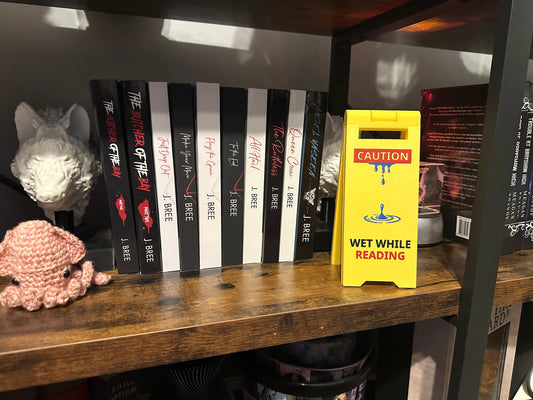 Wet While Reading Smutty Book Decor Sign Smut Sign Bookshelf Decor Smutty Decor