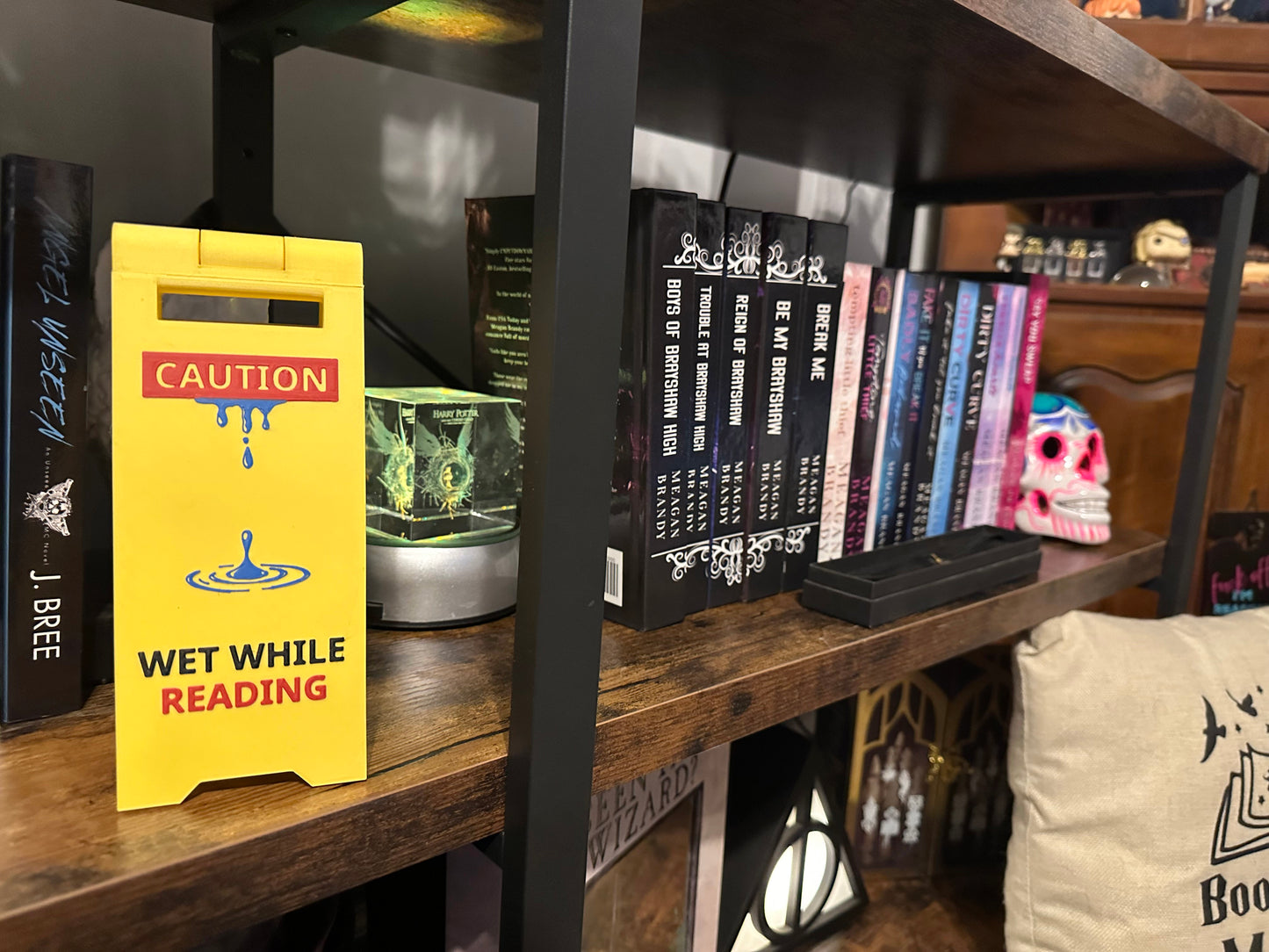 Wet While Reading Smutty Book Decor Sign Smut Sign Bookshelf Decor Smutty Decor